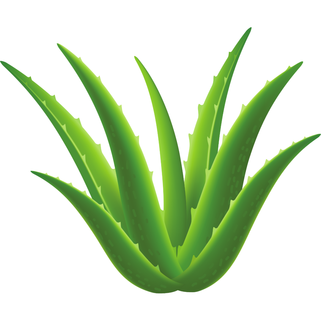 Neutral_Minimal_Simple_Elegant_Quote_Instagram_Post_2_