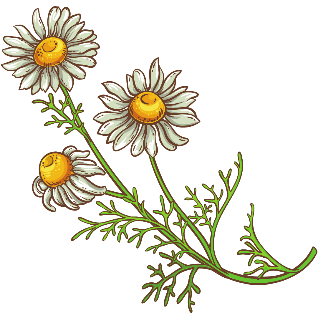 Neutral_Minimal_Simple_Elegant_Quote_Instagram_Post_3_