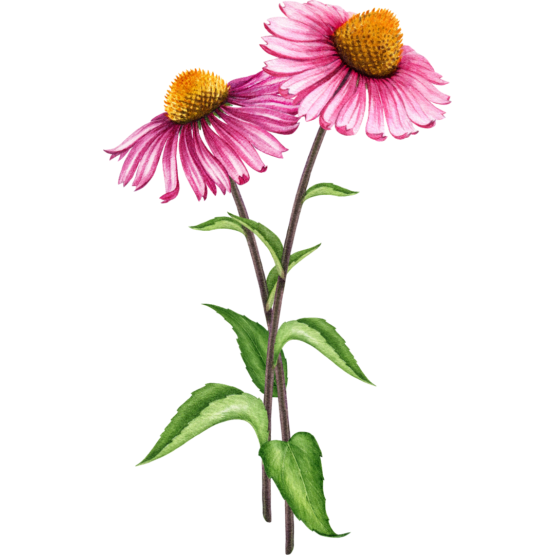 Neutral_Minimal_Simple_Elegant_Quote_Instagram_Post_5__1