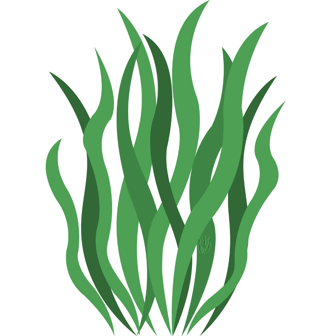 Neutral_Minimal_Simple_Elegant_Quote_Instagram_Post_6_