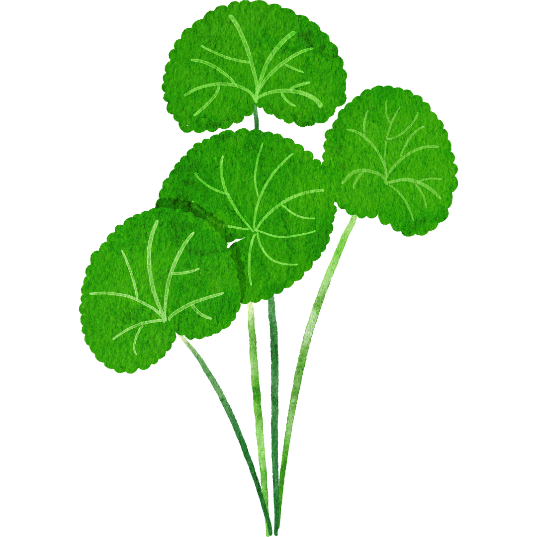 Neutral_Minimal_Simple_Elegant_Quote_Instagram_Post_6__1