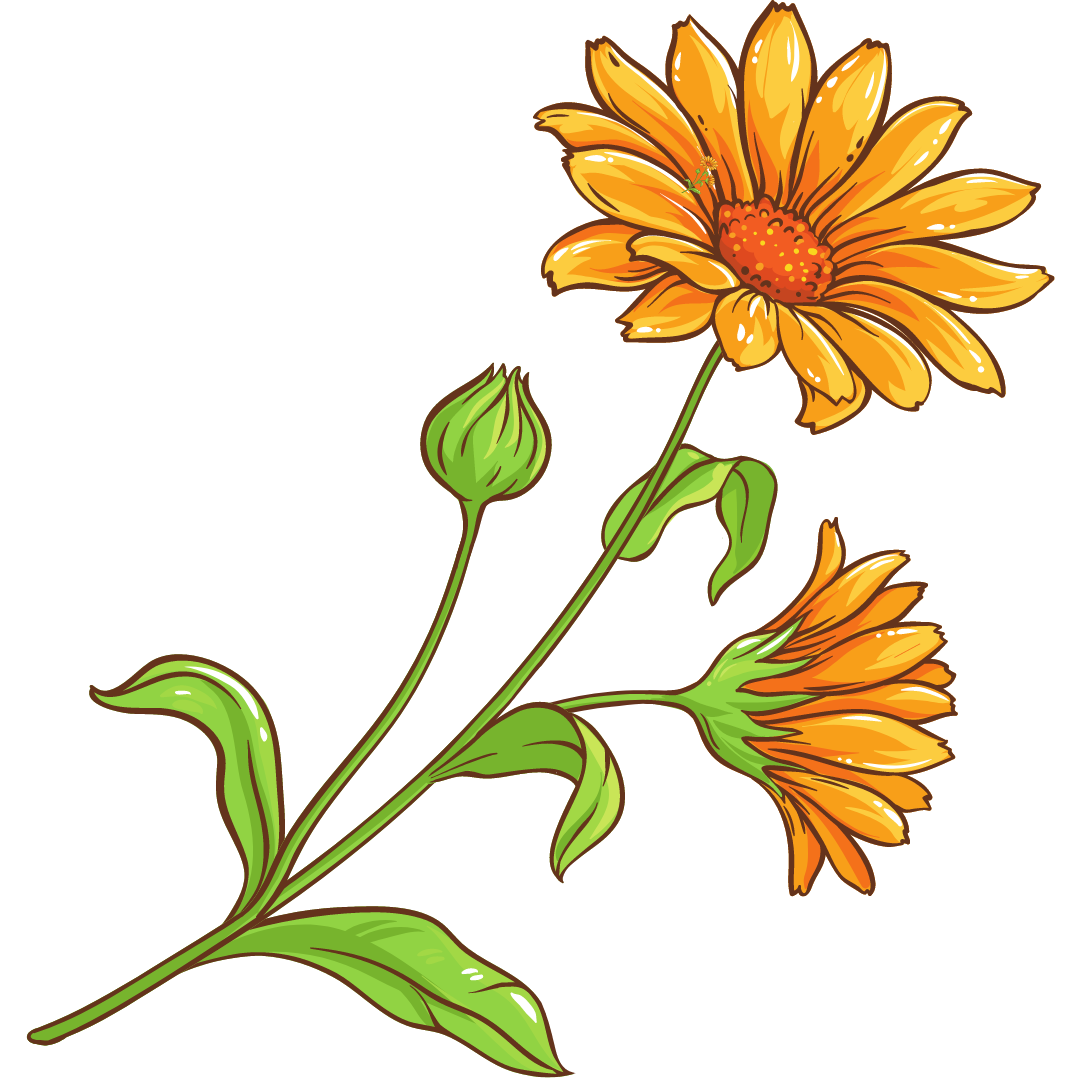 Neutral_Minimal_Simple_Elegant_Quote_Instagram_Post_7_