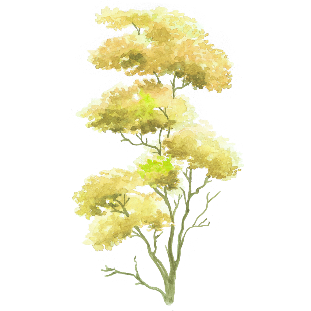 Neutral_Minimal_Simple_Elegant_Quote_Instagram_Post_7__1