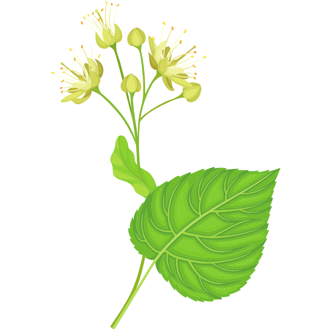 Neutral_Minimal_Simple_Elegant_Quote_Instagram_Post_8_